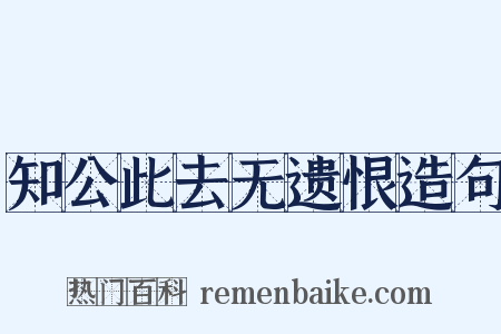 知公此去无遗恨造句是什么意思的图片